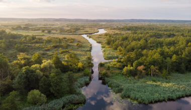 Parku Narodowego Doliny Dolnej Odry nie będzie. Prezydent "oparł decyzję na nieprawdziwych informacjach"