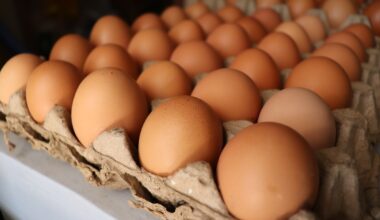 Do polskich przetwórni trafiają jaja z Ukrainy i kraju Mercosur