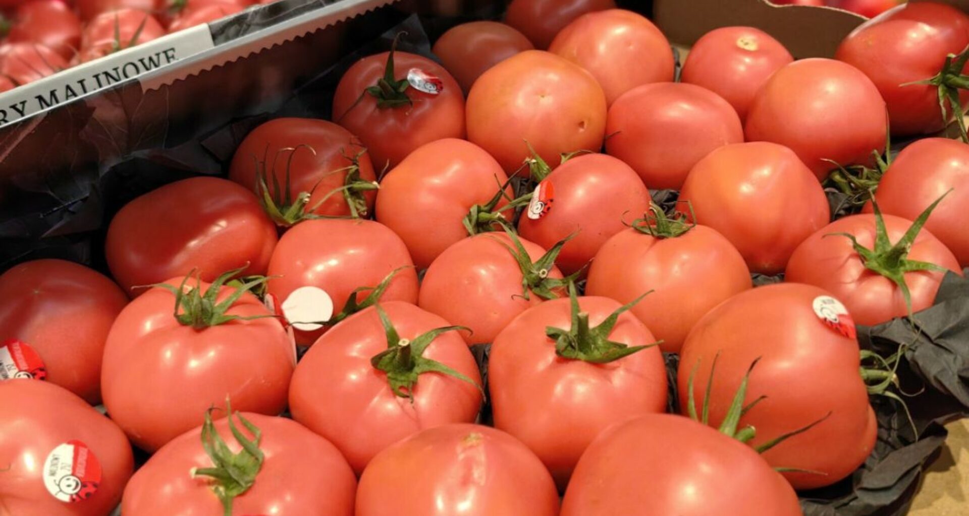 Przebadali pomidory z polskich marketów. To jest w pomidorach z Biedronki