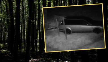 Dwóch mężczyzn ukradło elementy wiaty Przystanku Edukacyjnego Czerna (screen: Nadleśnictwo Głogów/Facebook)