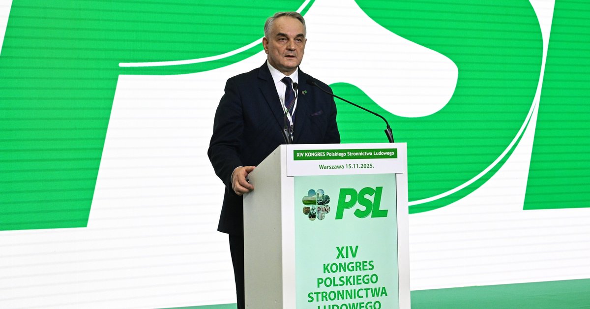 PSL ma nowego przewodniczącego Rady Naczelnej. Porażka byłego premiera - Onet