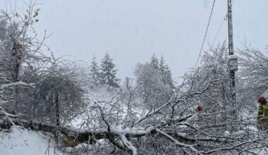 Strażacy usuwają skutki intensywnych opadów śniegu