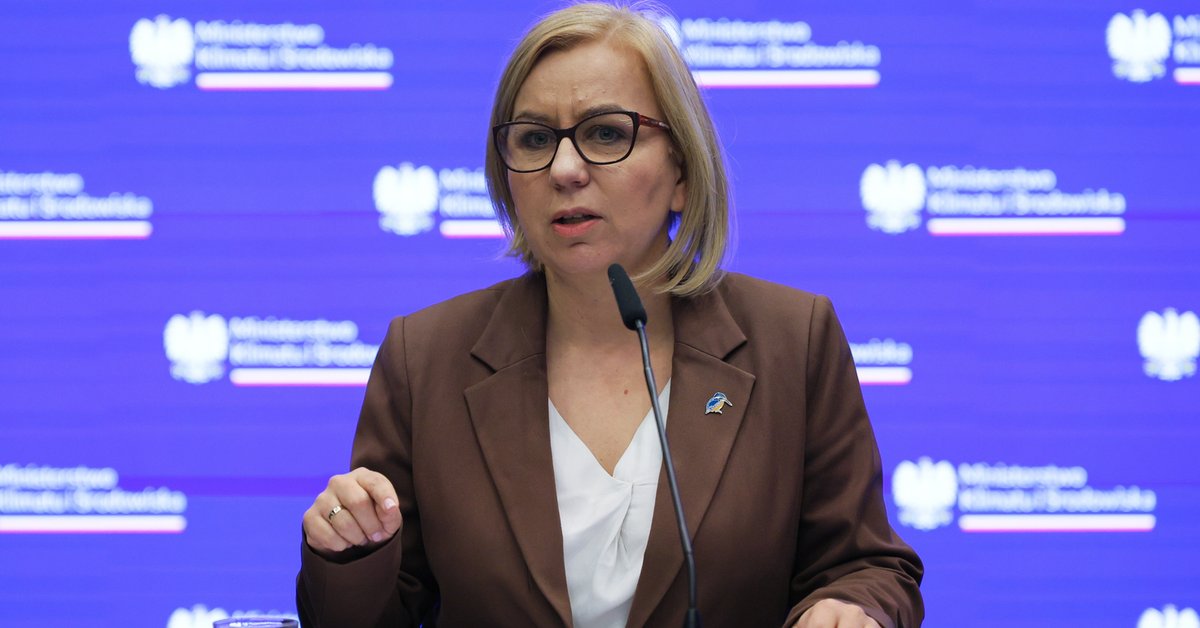 Torfowiska na Baligówce w okolicach Czarnego Dunajca