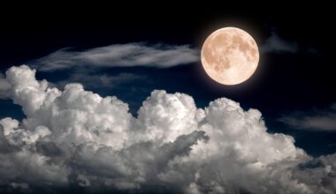 To była najjaśniejsza pełna w tym roku. Wyjątkowy Księżyc Bobra - Onet