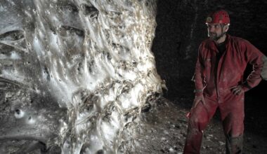 Największa na świecie sieć pajęcza odkryta w jaskini