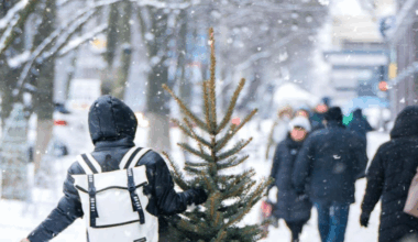 Taka ma być pogoda w Święta i Sylwestra. Czegoś takiego dawno nie było
