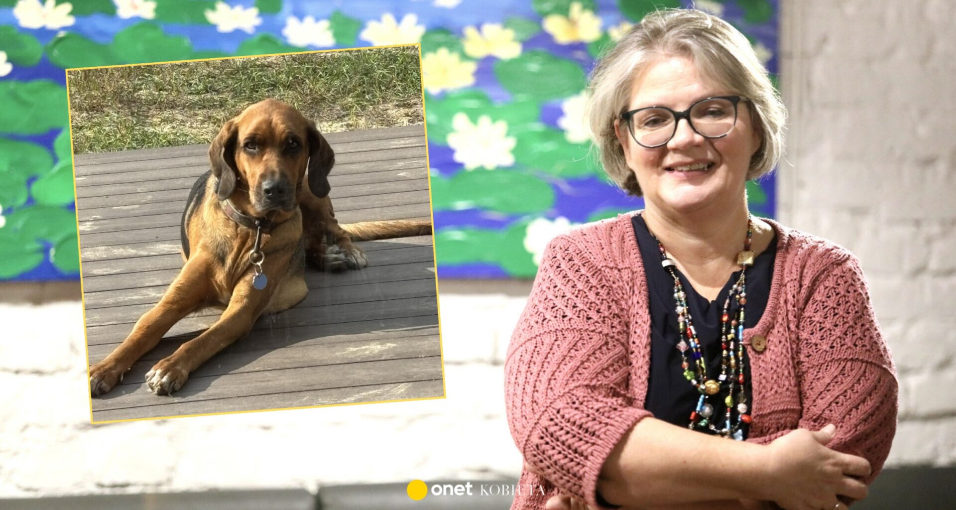 Dorota Zawadzka rozstaje się z psem. "To koszmar bez wyjścia"