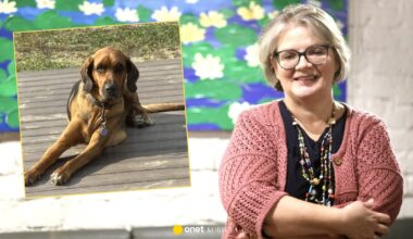 Dorota Zawadzka rozstaje się z psem. "To koszmar bez wyjścia"