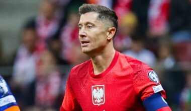 Radość reprezentantów Irlandii po zwycięskiej bramce w meczu z Węgrami