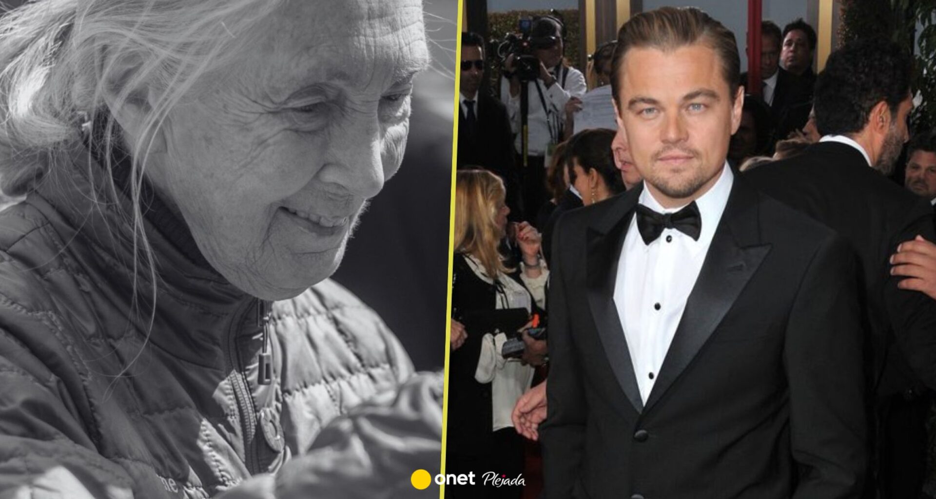 Leonardo Dicaprio pożegnał przyjaciółkę. "Zamiast skupiać się na tragedii..."