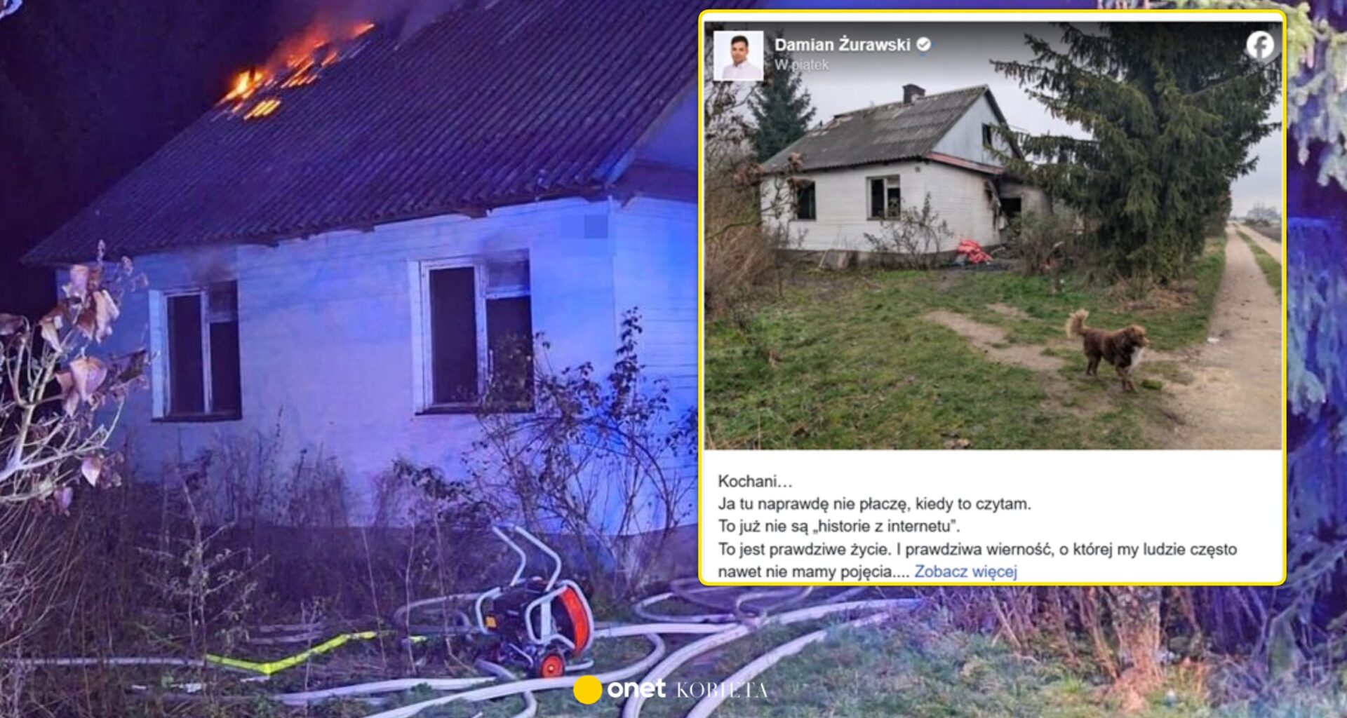 Wzruszająca historia psa z Radzynia Podlaskiego. Wierny czworonóg nie opuszcza zgliszczy