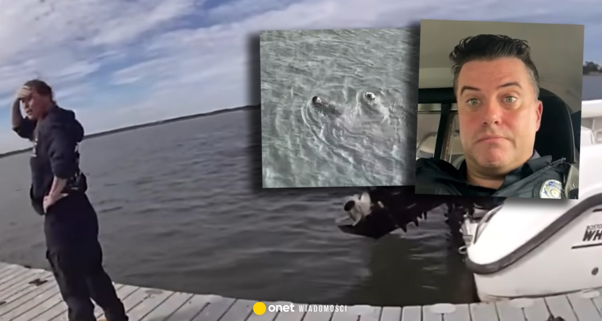 Policjant z USA zauważył tonącego psa. Natychmiast ruszył na pomoc