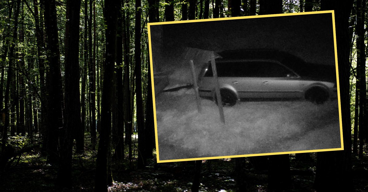 Działali pod osłoną nocy. Leśnicy i policja szybko ich namierzyli - Onet