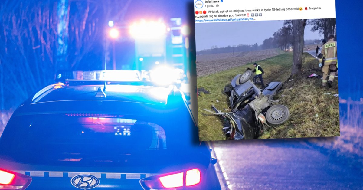Audi wjechało w drzewo. 19-letni kierowca nie żyje, 18-latka walczy o życie - Onet