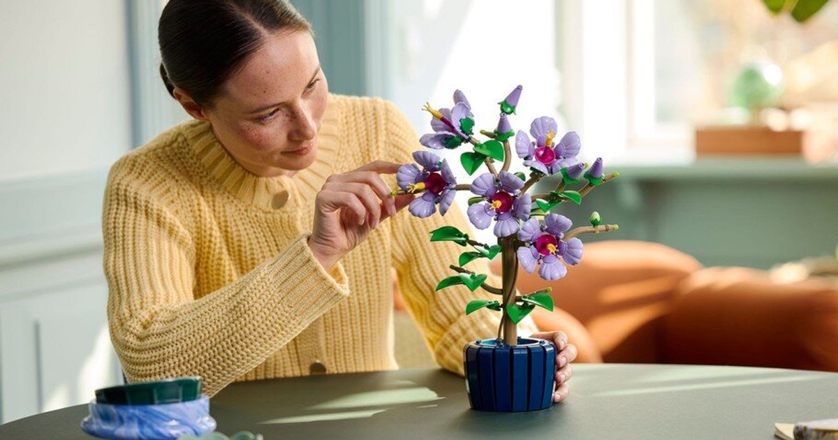 Piękny zestaw LEGO Icons w promocyjnej cenie. Co jeszcze oferuje ta seria?