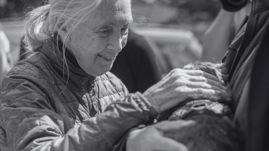 Jane Goodall (1934-2025)