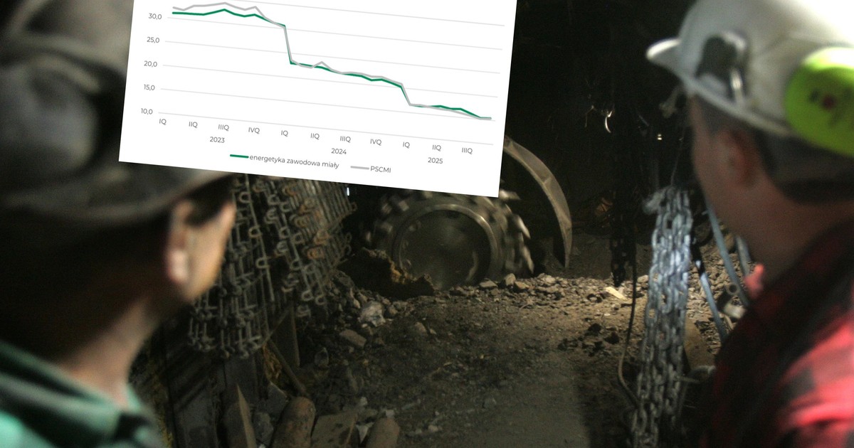 Cena węgla zaniżana przez firmy z dopłatami od państwa. Bogdanka z dużą stratą.