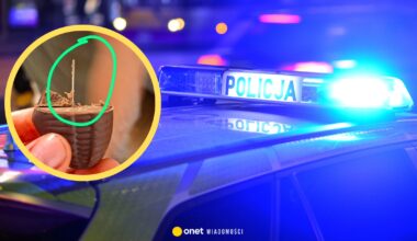 Igły w cukierkach podczas Halloween w Łodzi. Policja ujawniła szczegóły