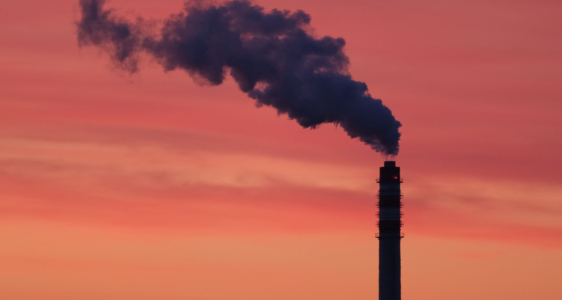 Jest praca u premiera. Oto wymagania i wysokość pensji