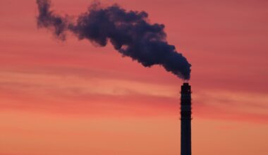 Jest praca u premiera. Oto wymagania i wysokość pensji