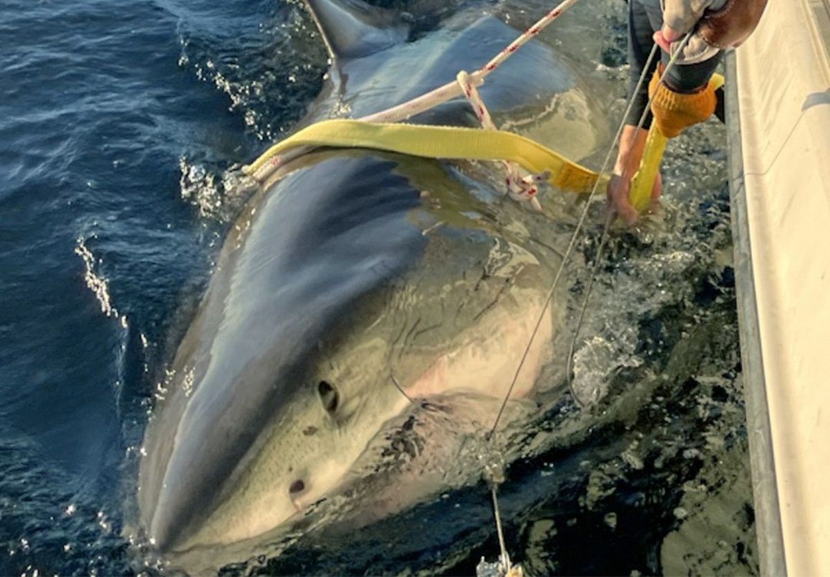 Alarm w Poroninie. Oszuści wyłudzają dane i pieniądze