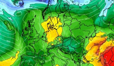 Takie odkrycie w lesie. 72-latka szybko wpadła. Skandal