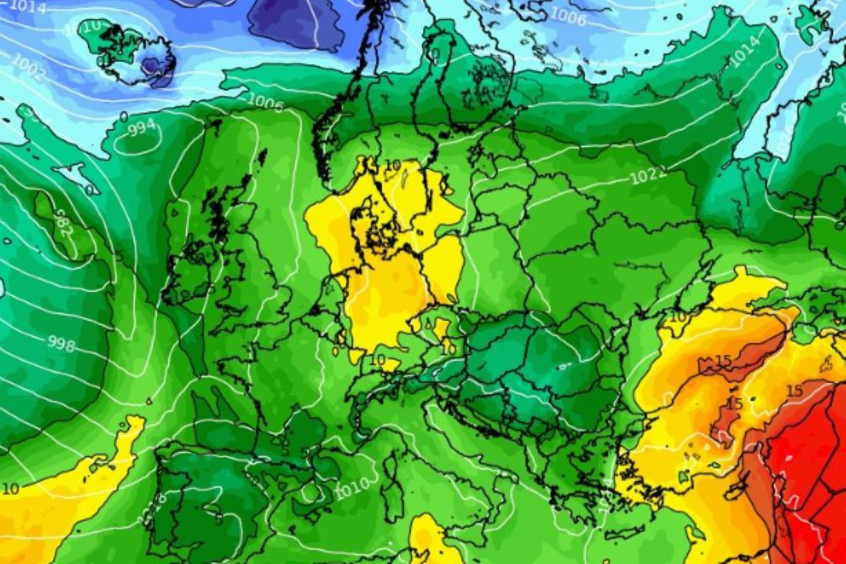 Takie odkrycie w lesie. 72-latka szybko wpadła. Skandal
