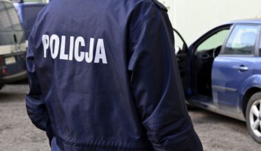 "Zakopiańskie safari". Nietypowa sytuacja po nagłym ataku zimy