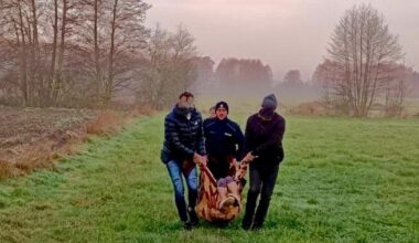 Radomsko. Kobieta wyszła w środku nocy z domu. Dramatyczny finał poszukiwań