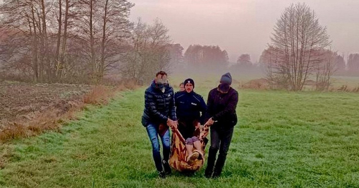 Radomsko. Kobieta wyszła w środku nocy z domu. Dramatyczny finał poszukiwań