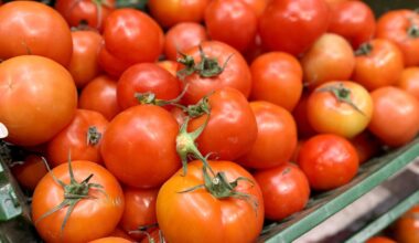 Lekarze usunęli 16-kilogramowy guz. Pacjent od roku miał bóle brzucha