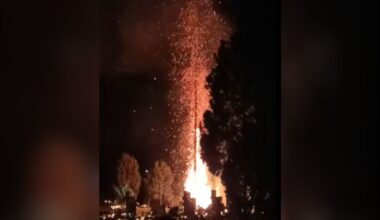 Poszedł do Biedronki. I nagle taki widok. 0,5 mln wyświetleń