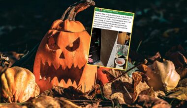 Nowa moda pod cmentarzami. Podano ceny na Wszystkich Świętych