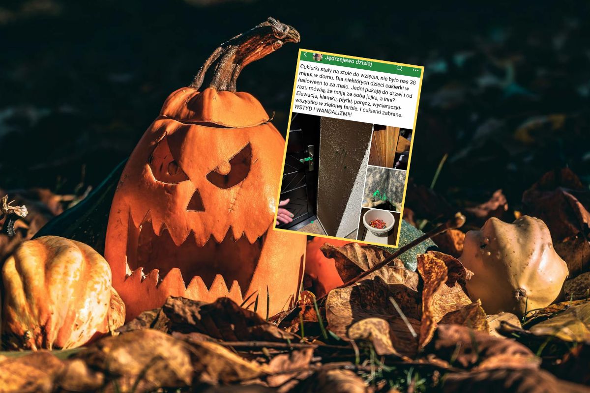 Nowa moda pod cmentarzami. Podano ceny na Wszystkich Świętych