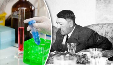 DNA Hitlera wreszcie przebadane! Naukowcy ujawniają, co skrywał dyktator