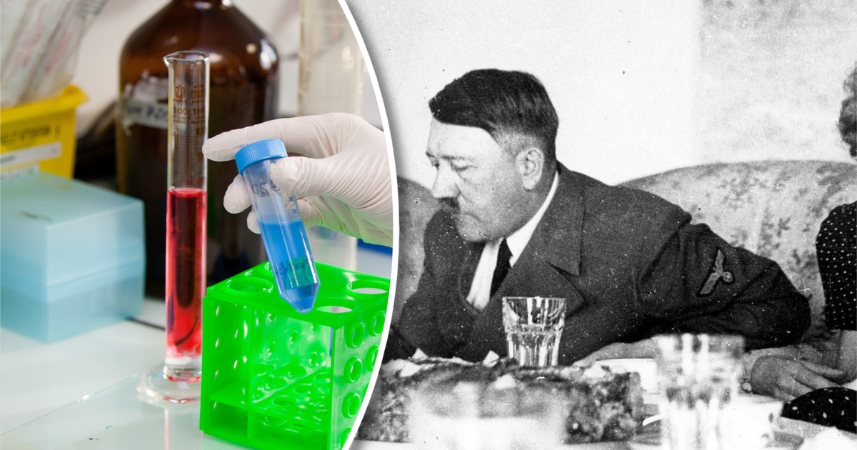 DNA Hitlera wreszcie przebadane! Naukowcy ujawniają, co skrywał dyktator