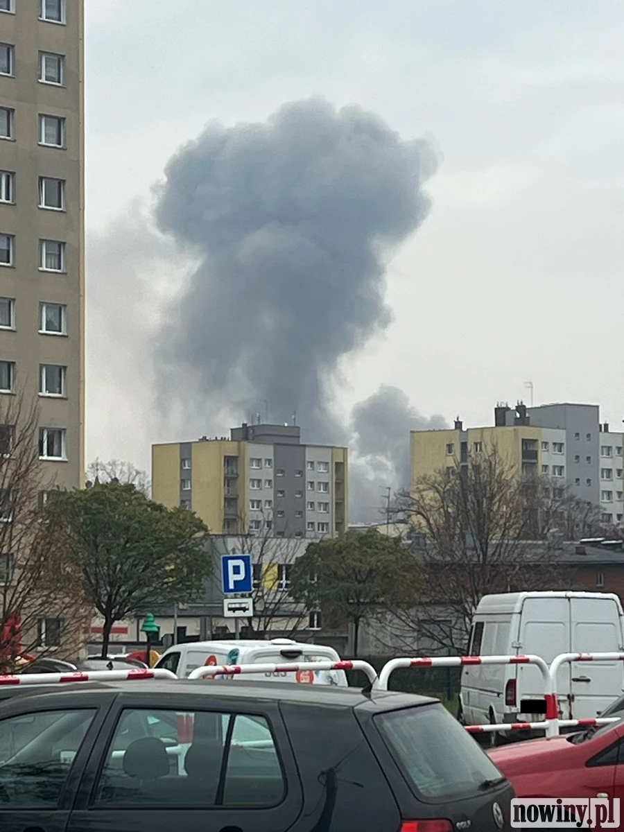 Zdjęcie wykonane w rejonie cmentarza w Radlinie. Fot. M.Nowak