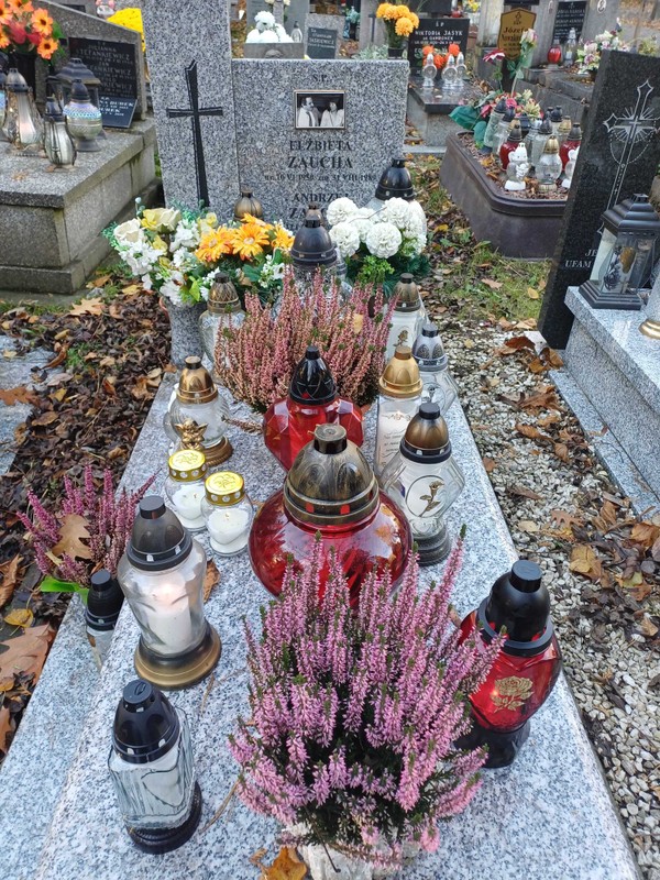 Grób Andrzeja Zauchy