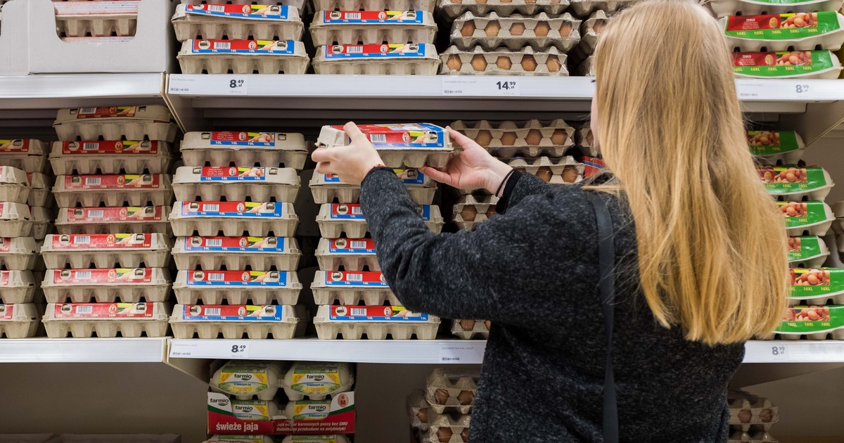 Jaja są coraz droższe i zaczyna ich brakować w całej Polsce! Co się dzieje?