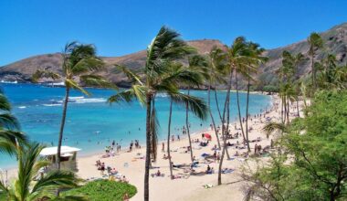 Malownicza plaża na Hawajach z palmami i turkusową wodą.