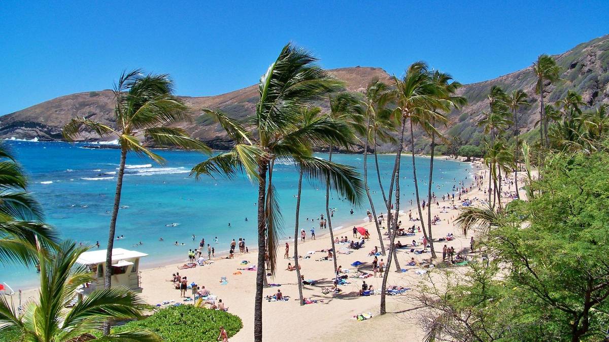 Malownicza plaża na Hawajach z palmami i turkusową wodą.