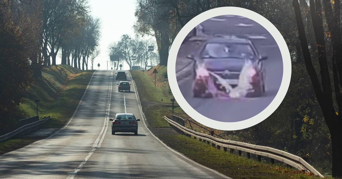 Wpadł prosto pod koła. Kierowca nawet się nie zatrzymał. Internauci nie kryją złości [wideo]