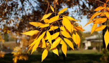Pogoda na Wszystkich Świętych i Dzień Zaduszny. "Skrajne zjawiska" - Onet