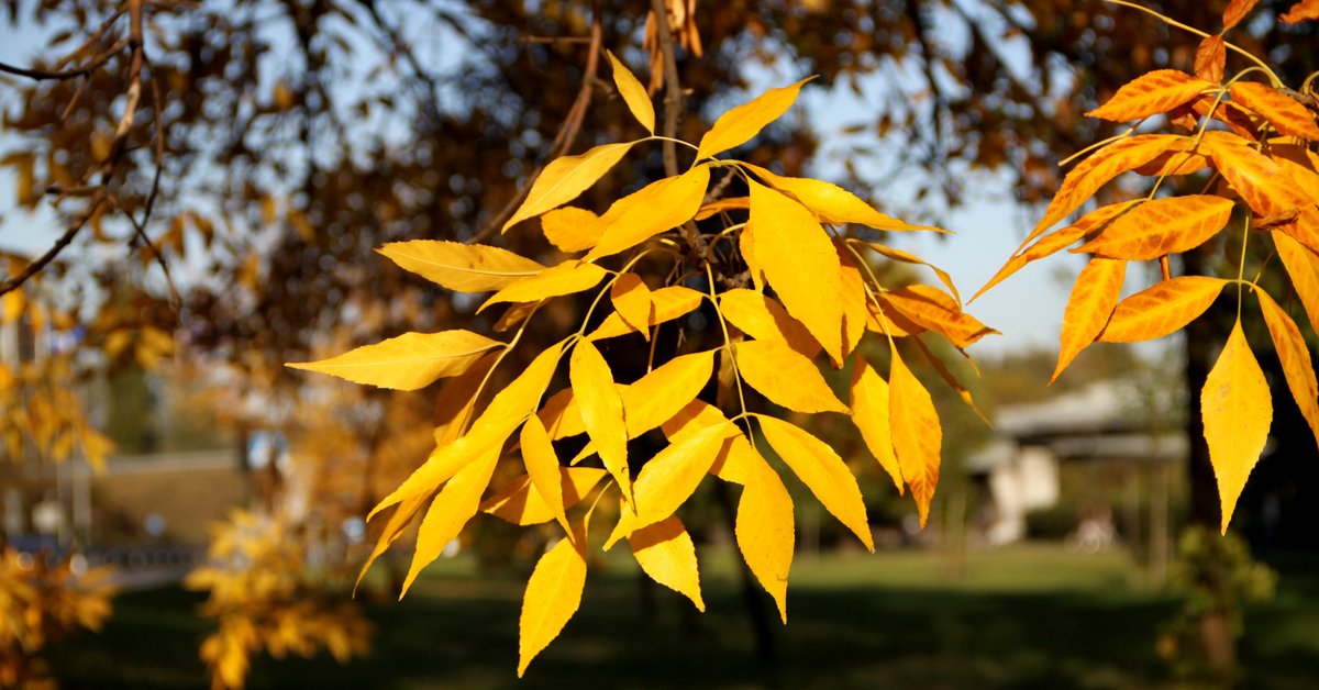 Pogoda na Wszystkich Świętych i Dzień Zaduszny. "Skrajne zjawiska" - Onet
