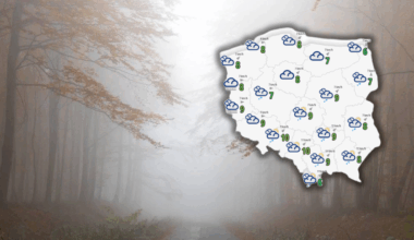 Mapa Polski z zaznaczonymi obszarami objętymi ostrzeżeniami meteorologicznymi przed mgłą i deszczem, na tle rozmytego obrazu lasu we mgle.