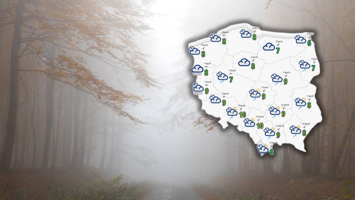 Mapa Polski z zaznaczonymi obszarami objętymi ostrzeżeniami meteorologicznymi przed mgłą i deszczem, na tle rozmytego obrazu lasu we mgle.