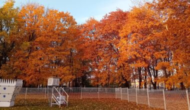Ostrzeżenia IMGW dla południa kraju. Mogą pojawić się mgły i przymrozki