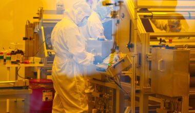 Polska technologia na krawędzi. Rząd ma miesiąc na decyzję