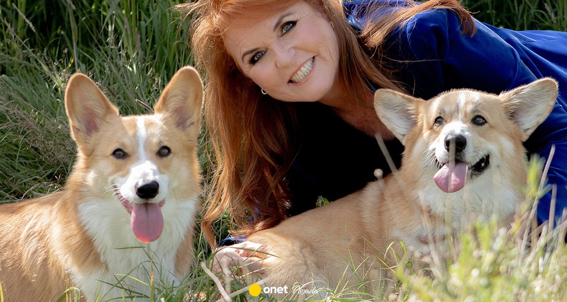 Książę Andrzej traci dom, co z corgi królowej Elżbiety II? Pałac przerwał milczenie