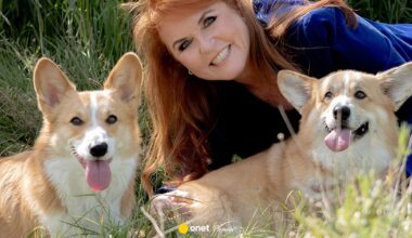 Książę Andrzej traci dom, co z corgi królowej Elżbiety II? Pałac przerwał milczenie